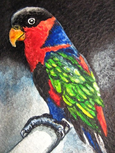 Watercolor Painting Parrot Bird Nature ACEO Art
