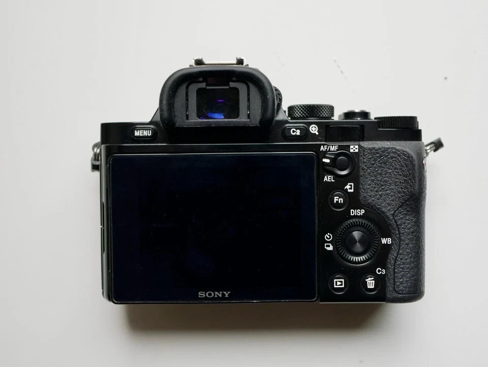 Sony Alpha 7S III, photo 2 of 2