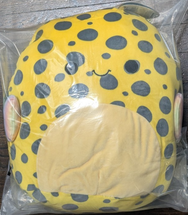 Picture 1 of 4