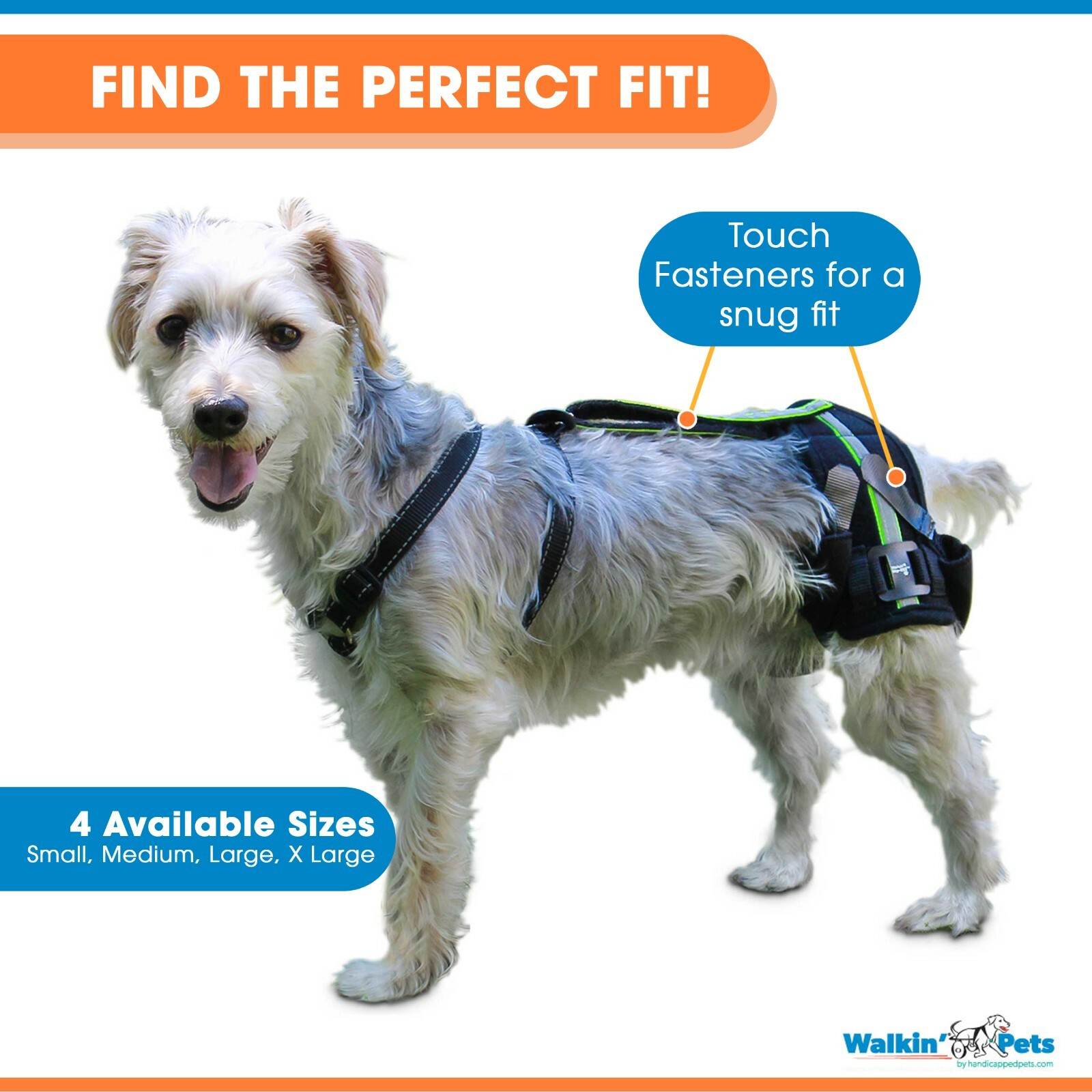 hip support for dogs