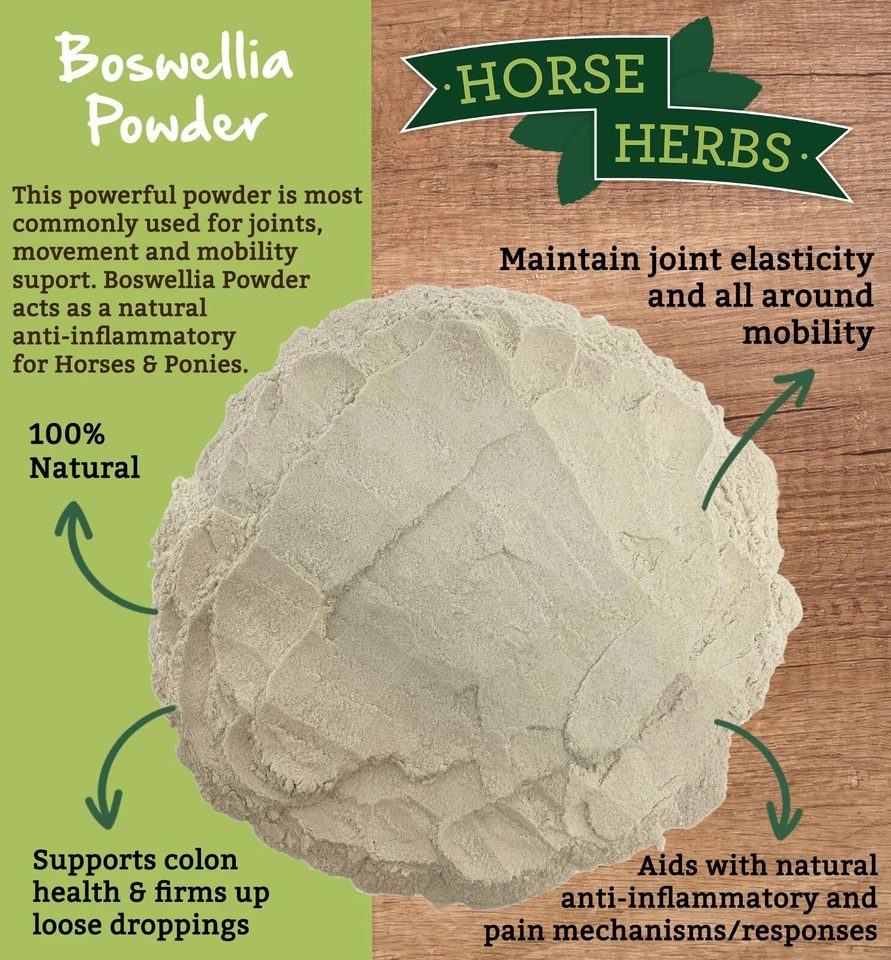 Horse Herbs Boswellia Serrata Powder - Natural Pain Relief for Horses - Equine - Image 2 of 4