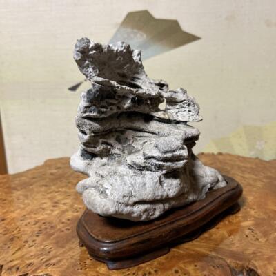 suiseki bonsaeki bonsai 水石 盆石　盆栽 suiseki bonsaeki bonsai 水石 盆石盆栽