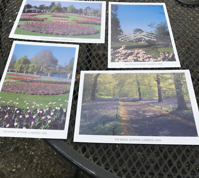 Set of 4 Postcards Royal Botanic Gardens of Kew 5x7  Very Pretty-Unused