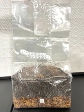 5lb All-In-One Mushroom Grow Bag | Triple Grain Sterile CVG Substrate Kit