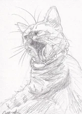 Original ACEO — Cat Mini Portrait "Boo" — Graphite Art Card 2025