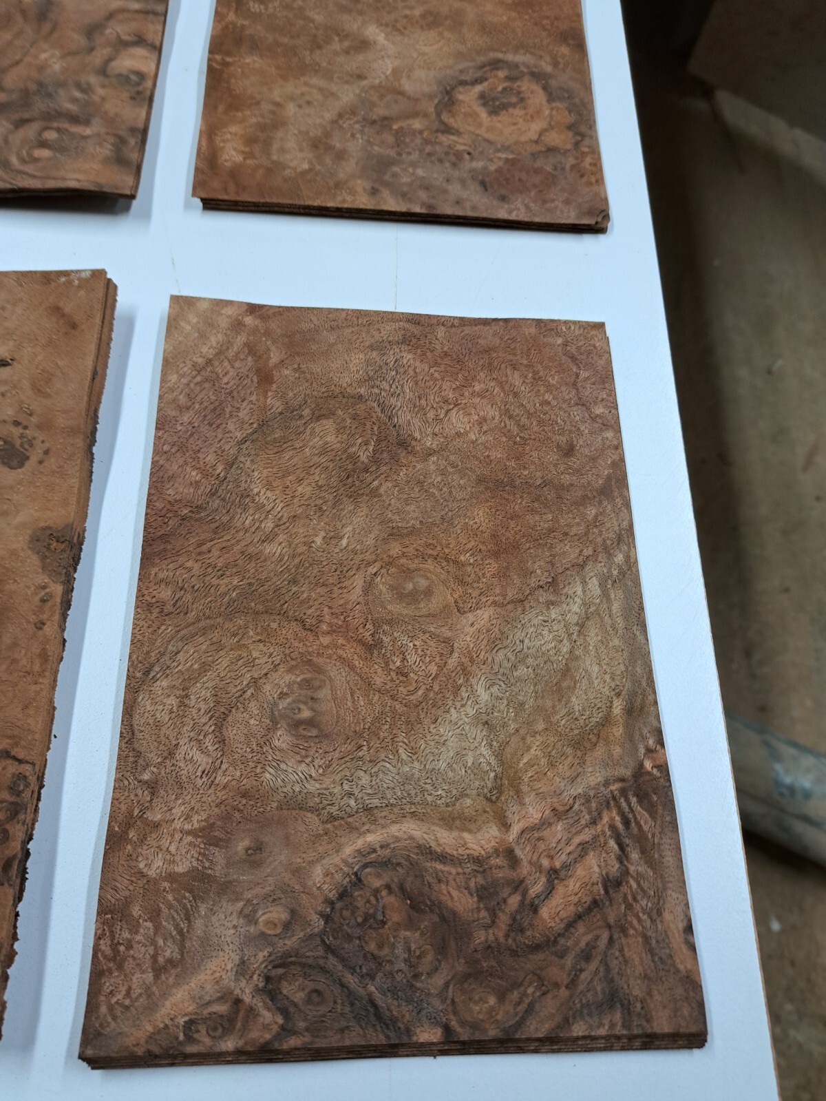 Wood Veneer Sample Pack 10 PIECES 220mm x 150mm for marquetry