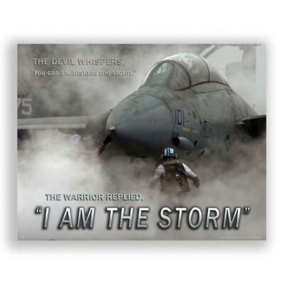 US Navy Jet Pilot Motivational Poster Art Print  I AM THE STORM Wall Decor BRB30