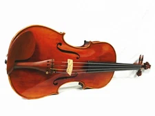 ADVANCED VIOLA 16.5" SIZE,DOMINANT STRINGS+DESPAIU BRIDGE,ONE PIECE BACK