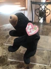 Blackie the Bear Beanie Baby TY Vintage Original Rare  1993 Mint Condition