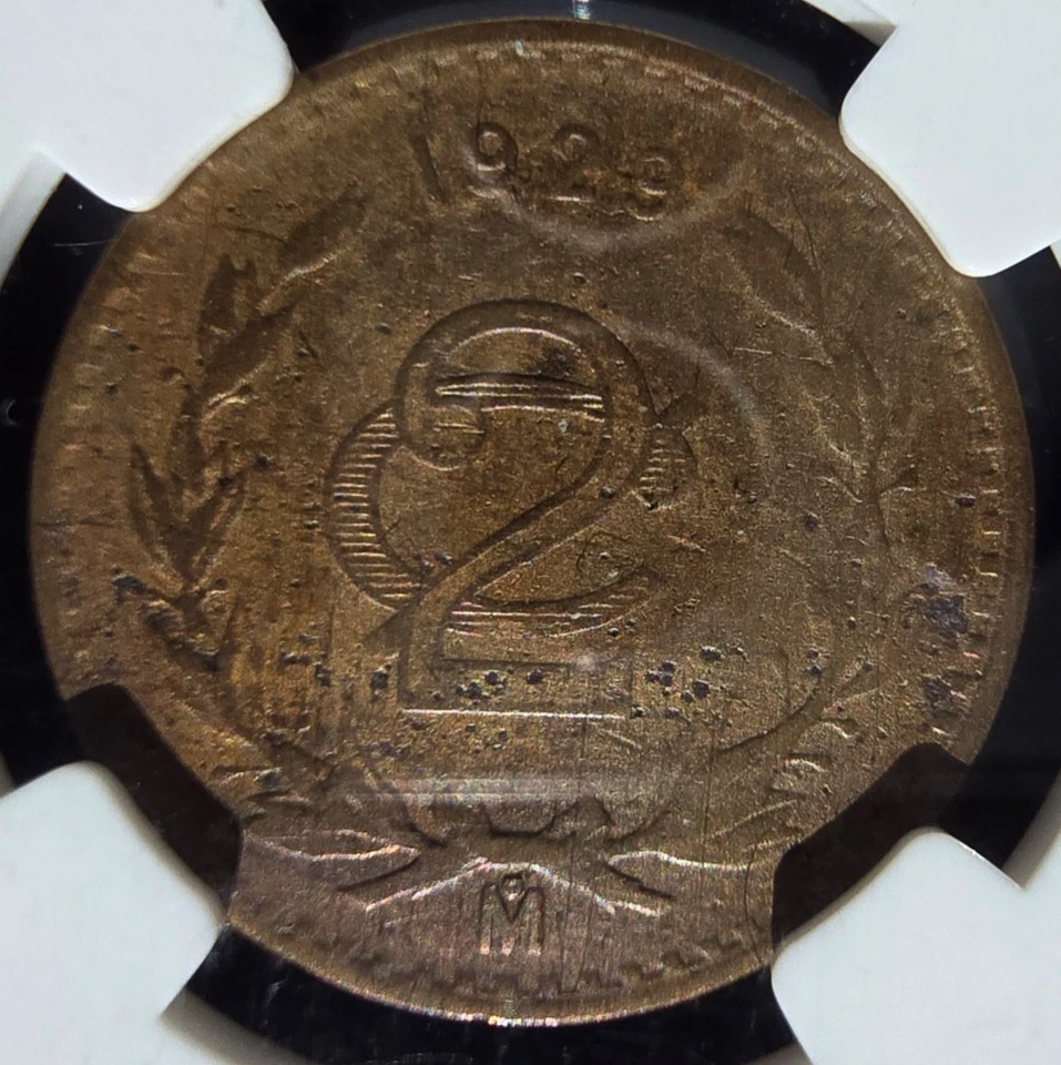 1929 Mexico 2 Centavos  NGC FINE DETAILS KM 419 (A017) - Image 4 of 4