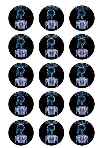 X-RAYS Personalized Edible Print Premium Cake Topper Frosting Sheets 5 Sizes - 第 4/4 張圖片