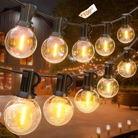 100FT Festoon Lights Outdoor G40 LED String Lights Mains Powered with 46+4 Bulbs