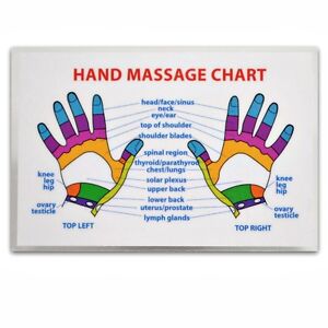 Back Reflexology Chart