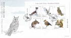 2019 Jersey Links with China (5th series) Woodland Wildlife Mini Sheet FDC