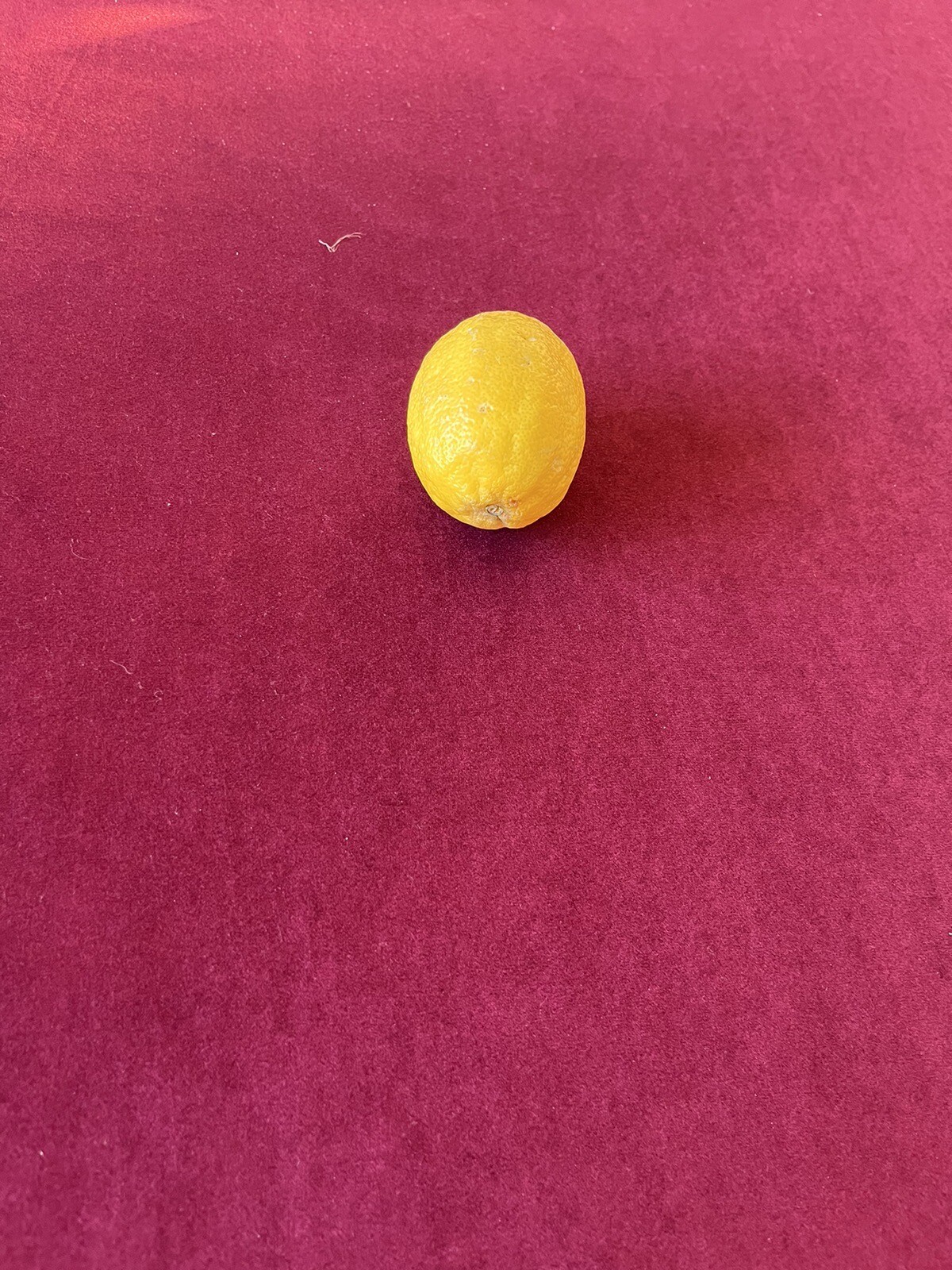 Picture 3 of 5