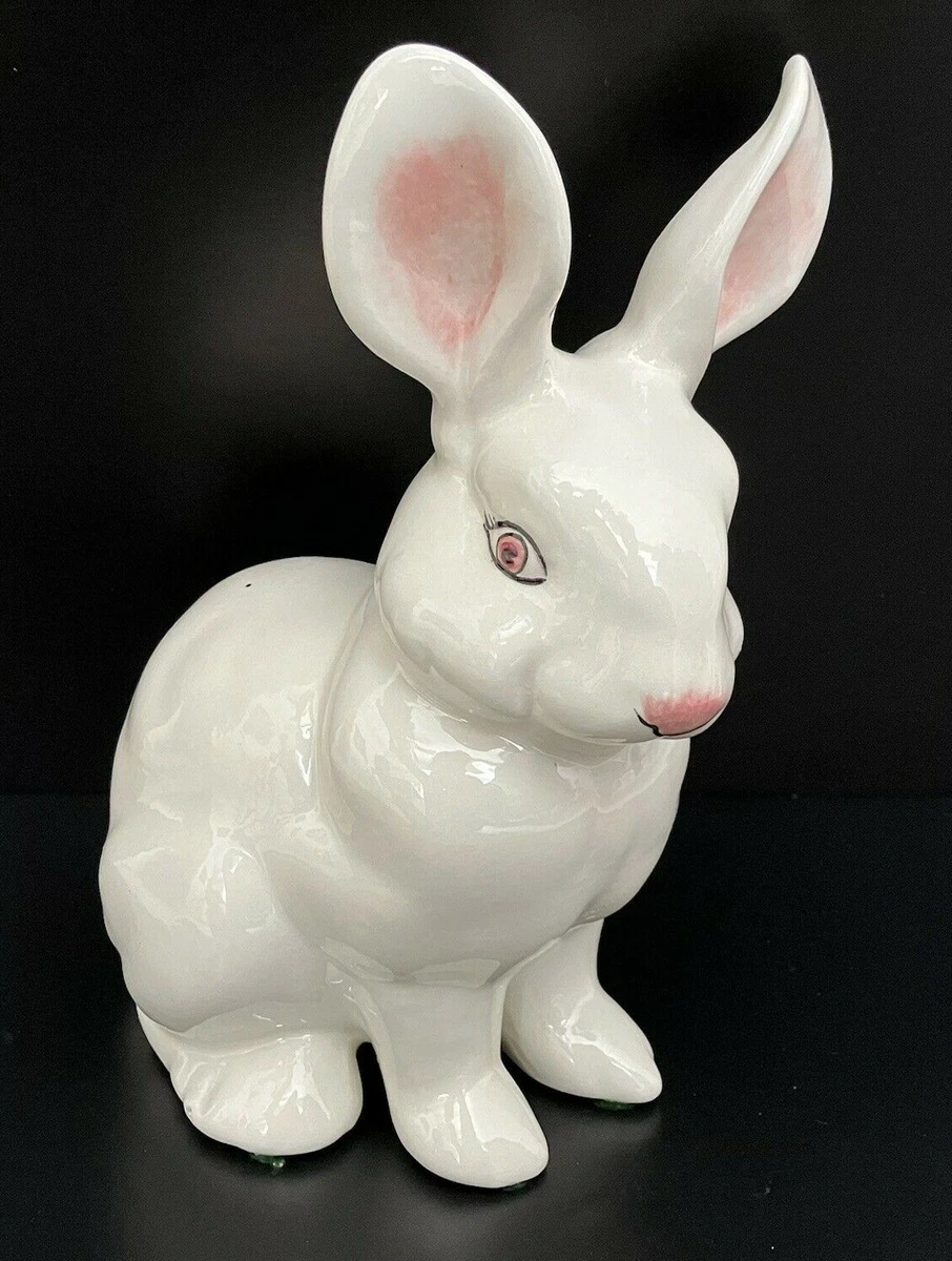 Albino bunny best sale rabbit