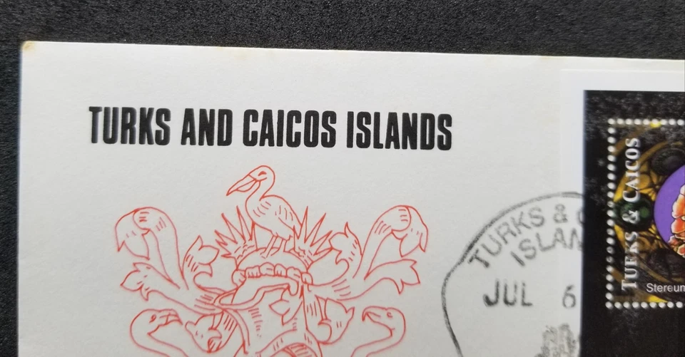 *FREE SHIP Turks & Caicos Islands Mushrooms 2000 Fungi Plant (FDC) - Image 2 of 4