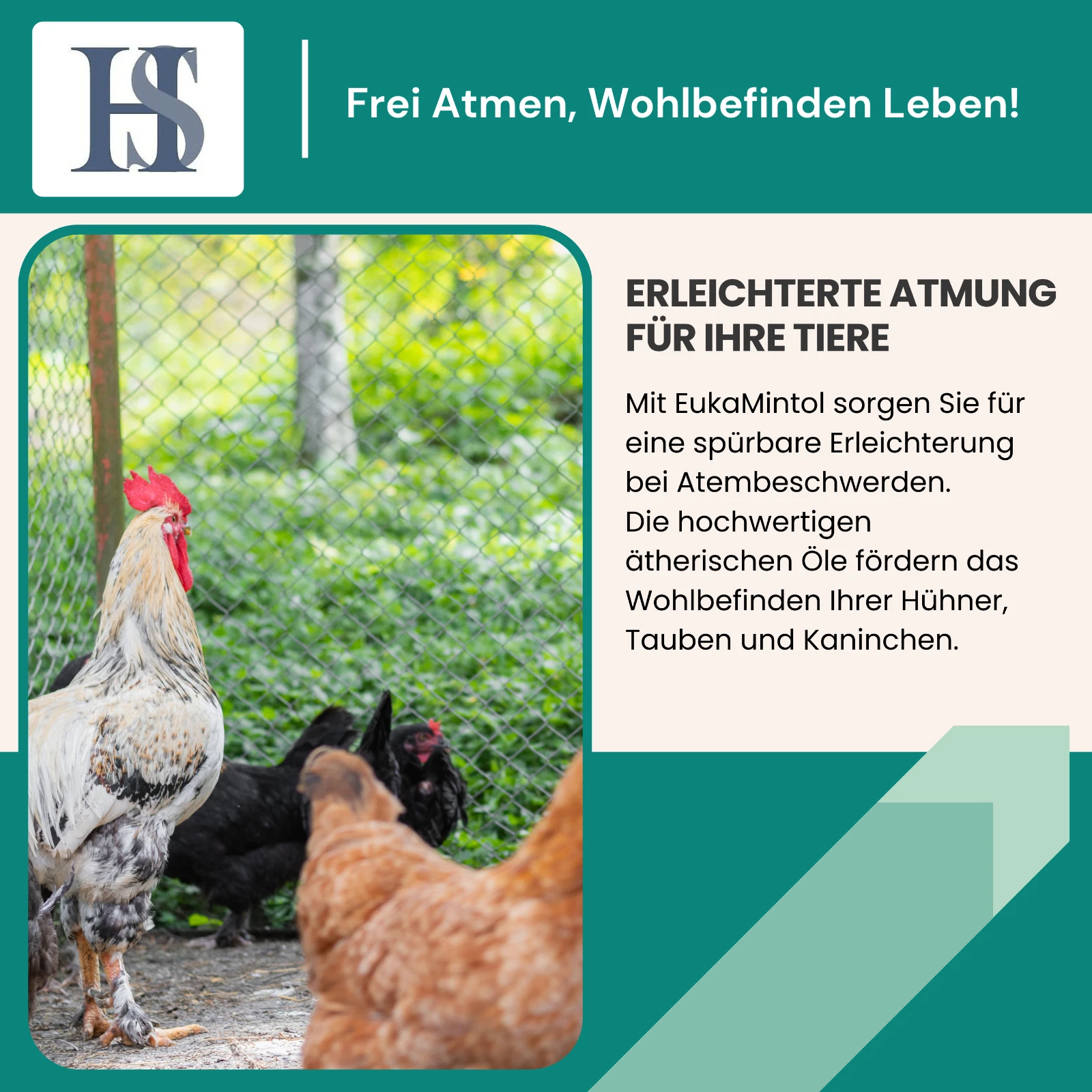 Bild 3 von 7