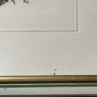 Picture 4 of 11