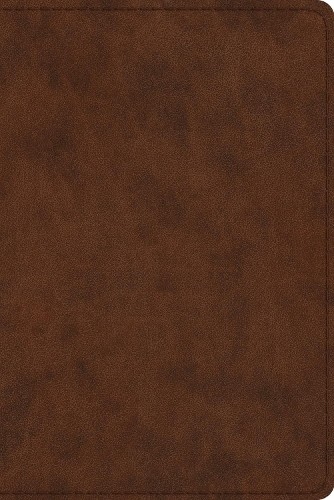 ESV Study Bible, Personal Size by  Crossway,  Crossway,  Cros... - 9781433547621