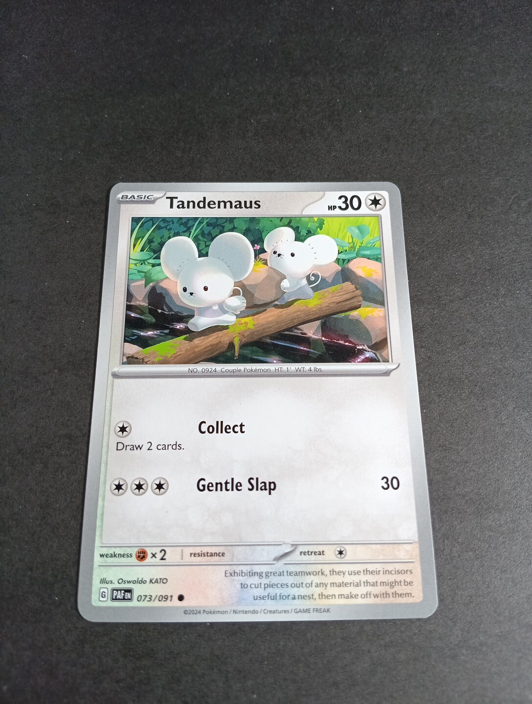 Pokemon Paldean Fates Tandemaus Common Card 073/091 NM