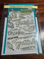 Lawn Fawn clear stamps SET "Scripty autum sentiments" USA made