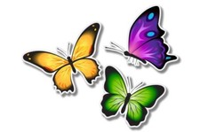 Butterflies Colorful Car Laptop Phone Vinyl Sticker - SELECT SIZE