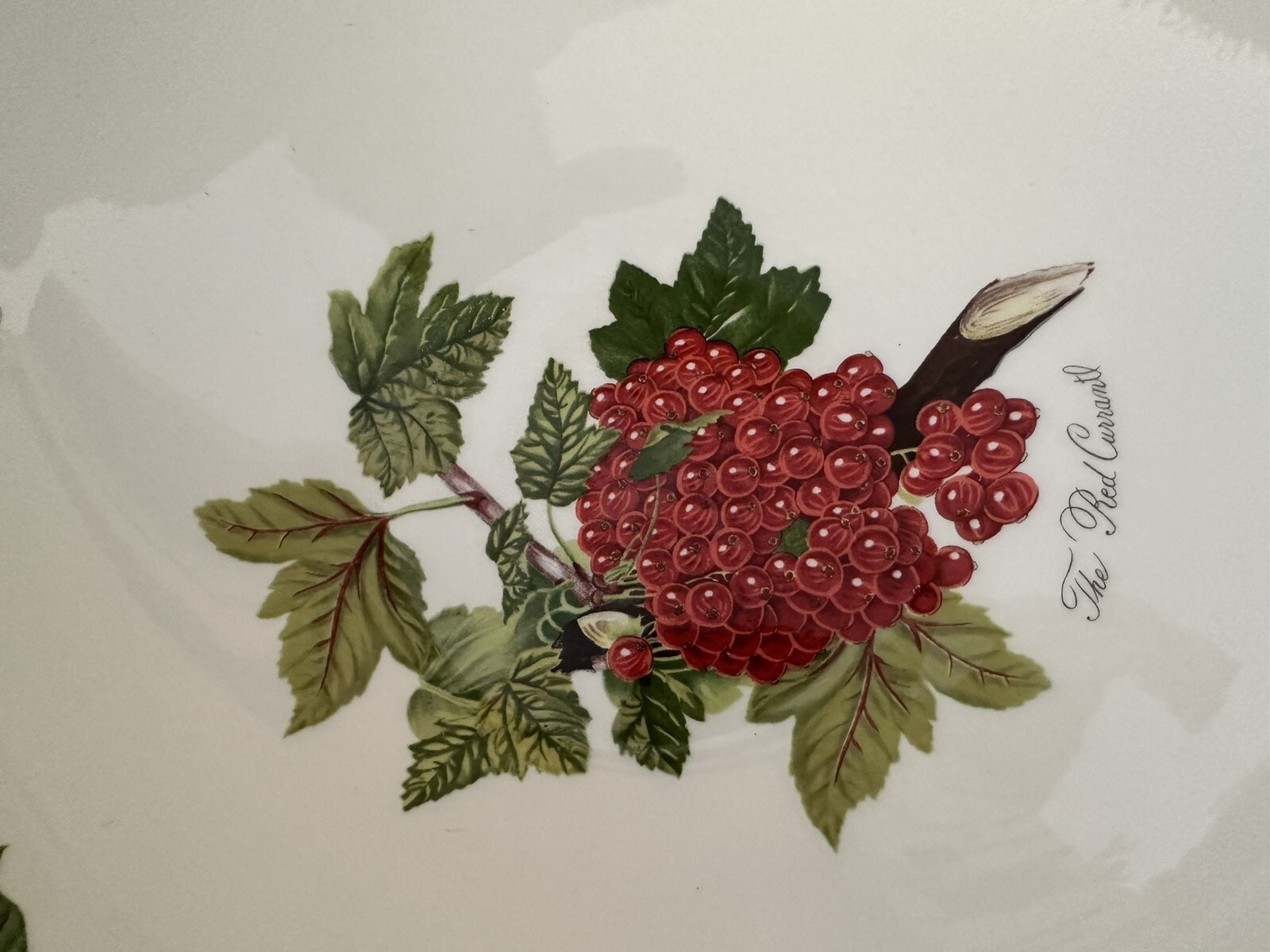 Picture 12 of 24