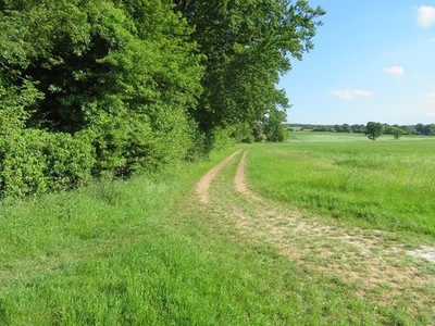 Foto 6x4 Feldgrenze westlich von Oakley Kirche Oakley der Rand von Oakley c2017