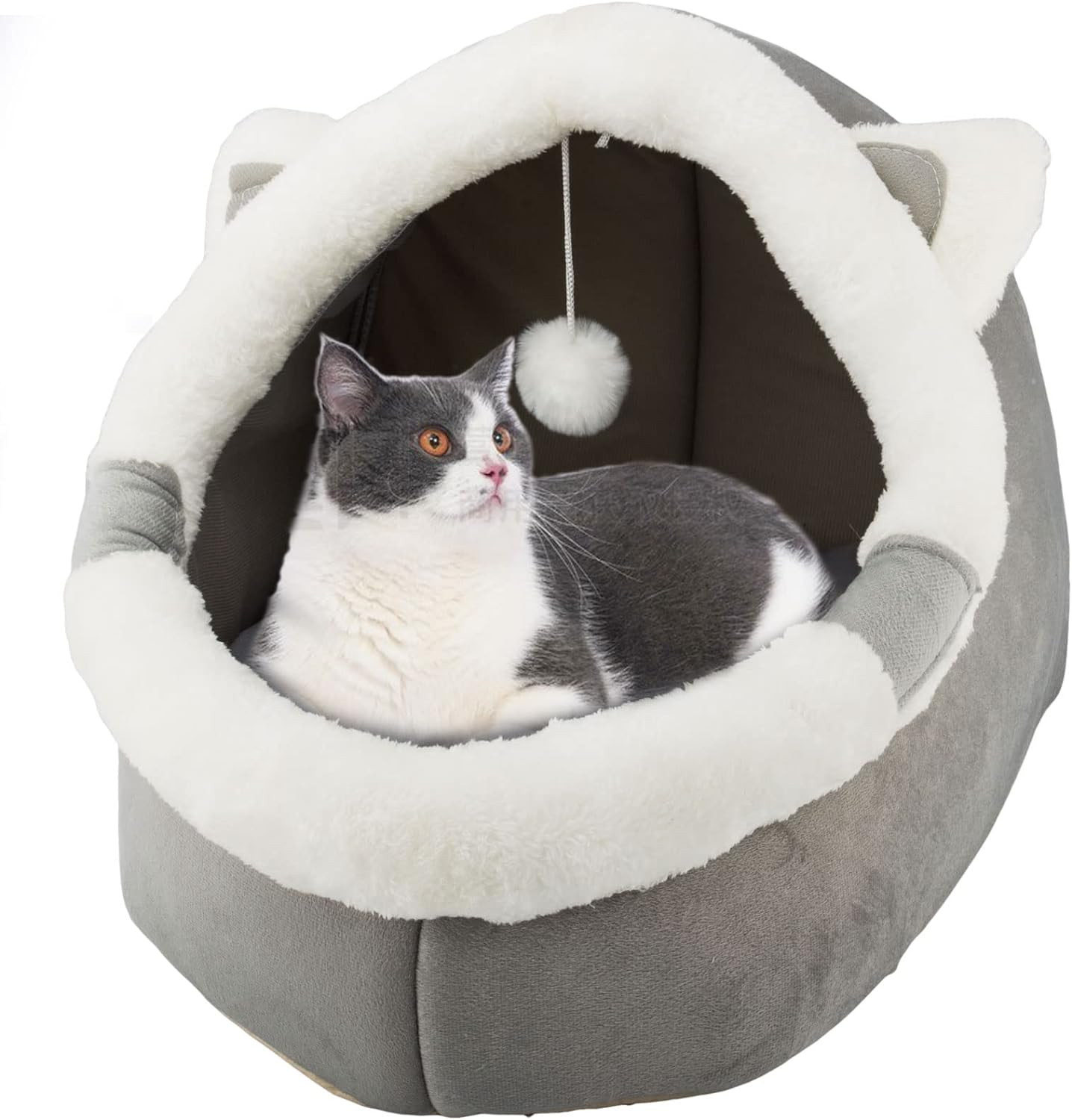 Cuccia Grotta Gatti e Cani Piccoli: Letto Calmante con Giocattolo Appeso