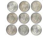1922-1925 Lot Of 9 Silver Peace Dollar 90% Silver 6.96 Troy Oz SW