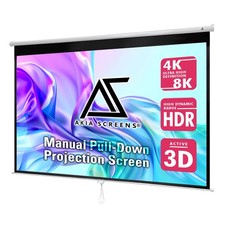 110 Inch Manual Pull Down Projector Screen, 16:9 Retractable Projection Scree...
