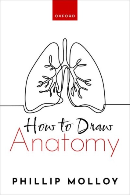 How To Draw Anatomy by Dr Phillip  Molloy (Paperback Book)