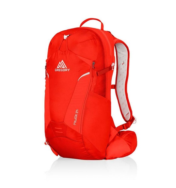 gregory miwok 24l backpack