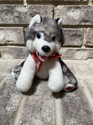 plush husky dog