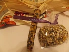 40 Glass Gem Corn Seeds Historical Native American Seeds & 2 Packs of Free Seeds