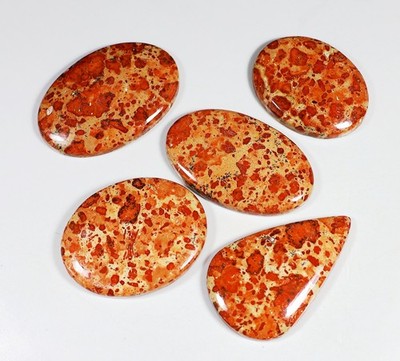 311 Ct Bulk Lot Natural Orbicular Asteroid Jasper Fancy Cabochon Gemstone KJ-122
