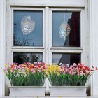 Bild 16 von 23