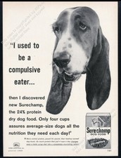 1960 Basset Hound photo Surechamp dog food vintage print ad