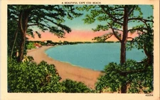 Cape Cod Massachusetts A Beautiful Cape Cod Beach Linen Unposted