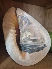 Antike Souvenir Muschel Aus 1920