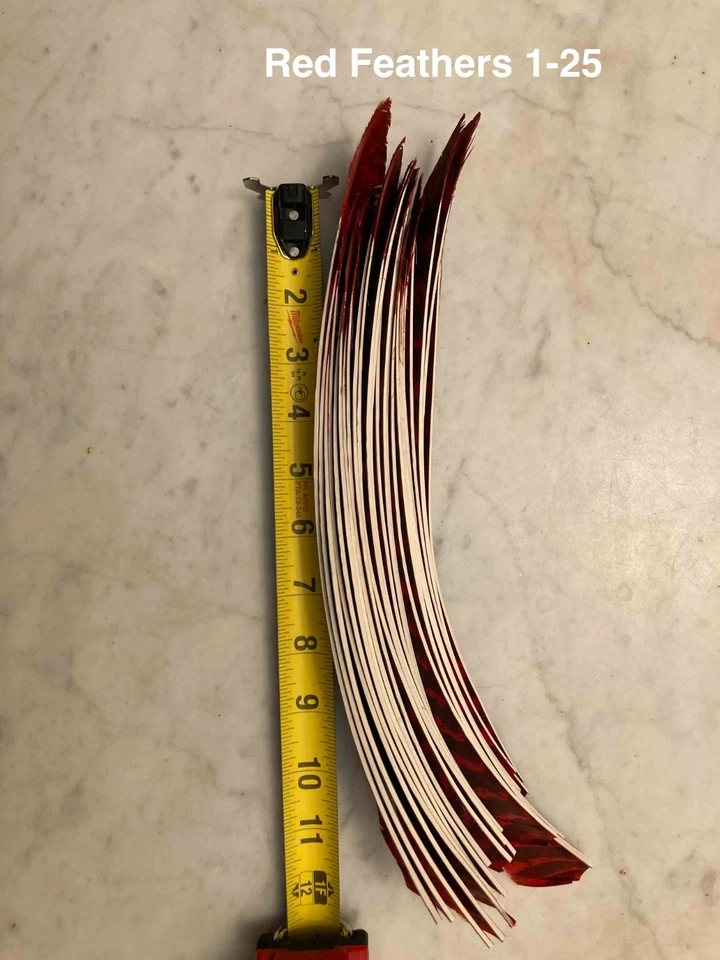 75 Fletching Feathers for Arrows #1 Ground base Purchased in 1965 read descripti - Image 2 of 4