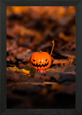Peek A Boo kleiner Kürbis gerahmtes Wandbild Poster Leinwanddruck Bild