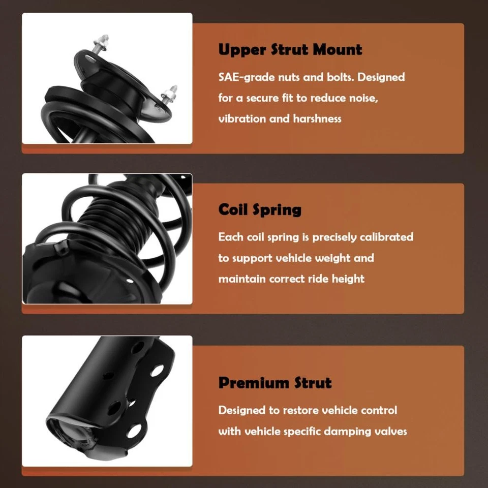 Front Complete Coil Springs Struts & Rear Shocks For 2004-2006 Scion xA xB - Image 4 of 4