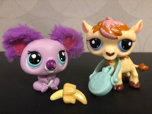 littlest pet shop koala