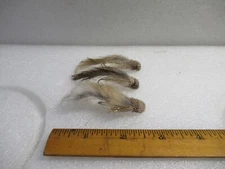 STAUFFER SCULPIN MINNOW MINO ORVIS FRESH WATER FLY FISHING STREAMER 3 PCS