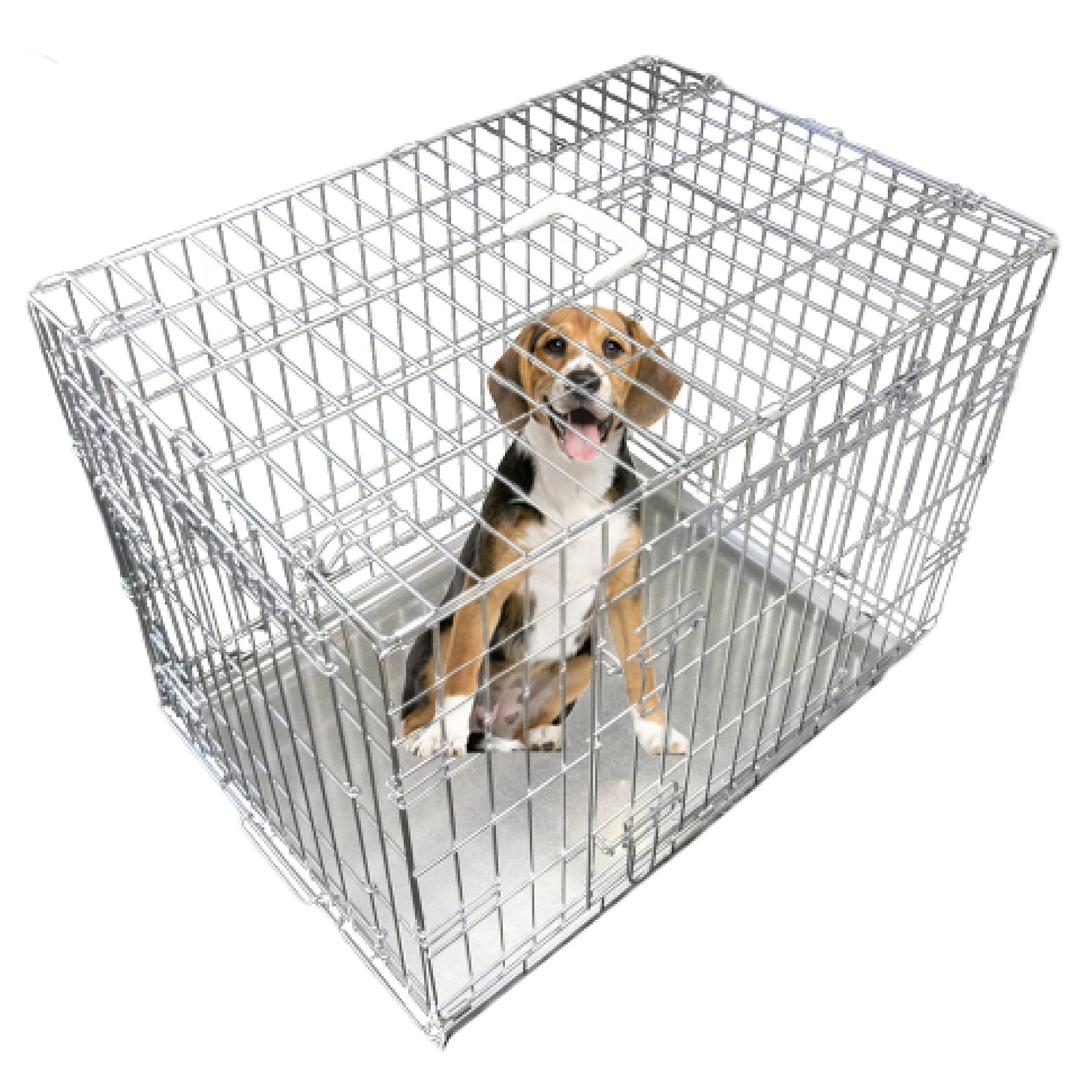 Cage de transport pliable pour chiots idéale pour trajets en voiture et camping