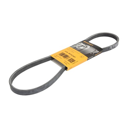 Keilrippenriemen Continental CTAM 4PK903 ELAST