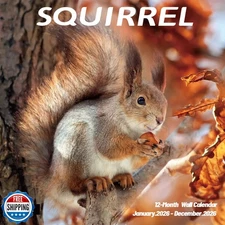 2026 Wall Calendar,Squirrel Calendar 2026,Squirrel Monthly Wall Calendar, 12"