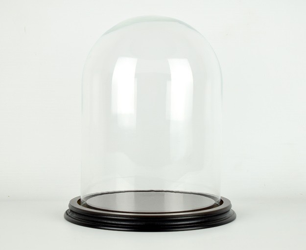Vintage Look Glass Dome With Wooden Base Height 26 cm x 15 cm
